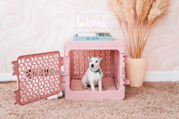 White dog sits inside pink KindTail crate with a neon sign above that says 'Be Kind'
