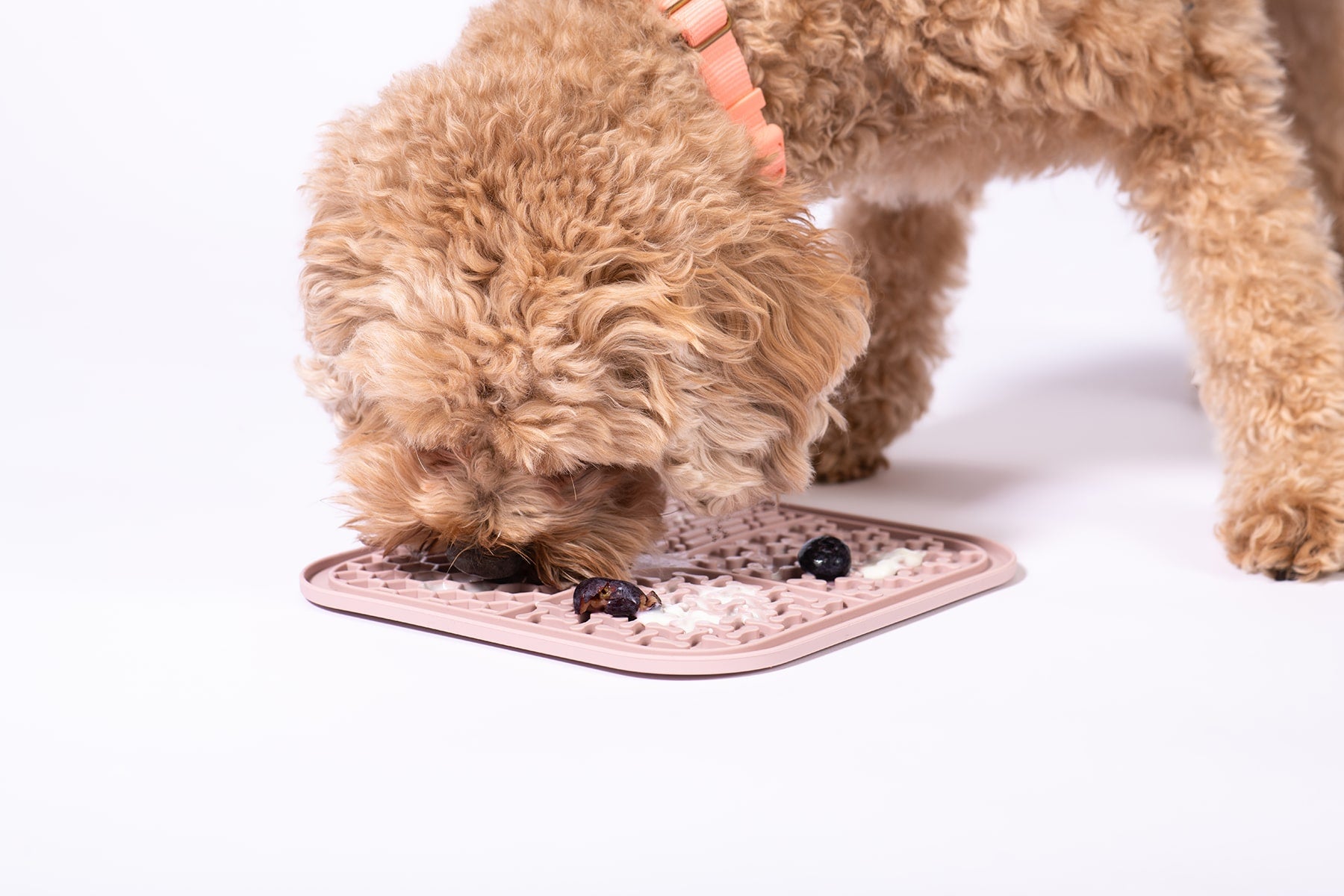 Fluffy Dog licks yogurt and blueberries from a non-slip lick mat placed on the floor and kept in place with suction cups.