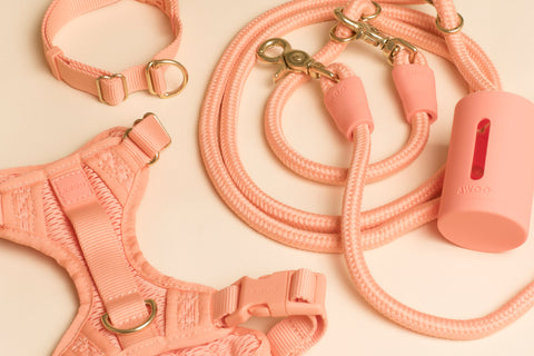 Peach dog collar, dog harness, dog leash, and dog waste bag holder sit flat on a beige surface.