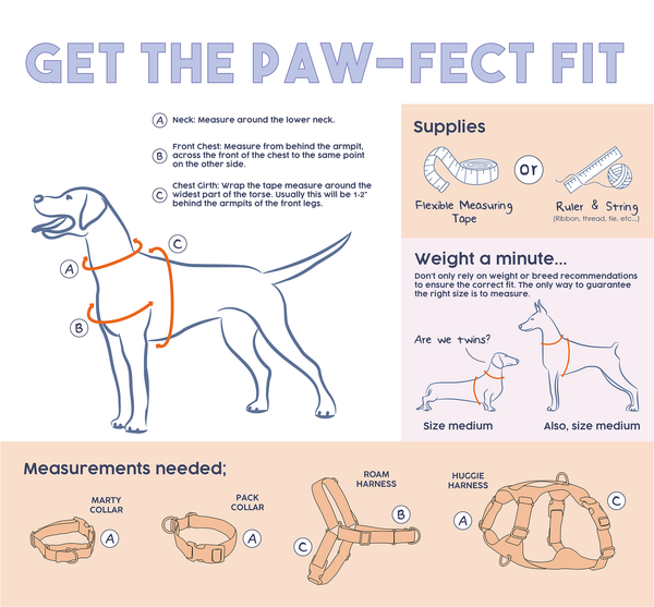 Awoo Measuring Guide Info Graphic Image with drawing of dog showing all the different ways to measure for dog harness and dog collar.