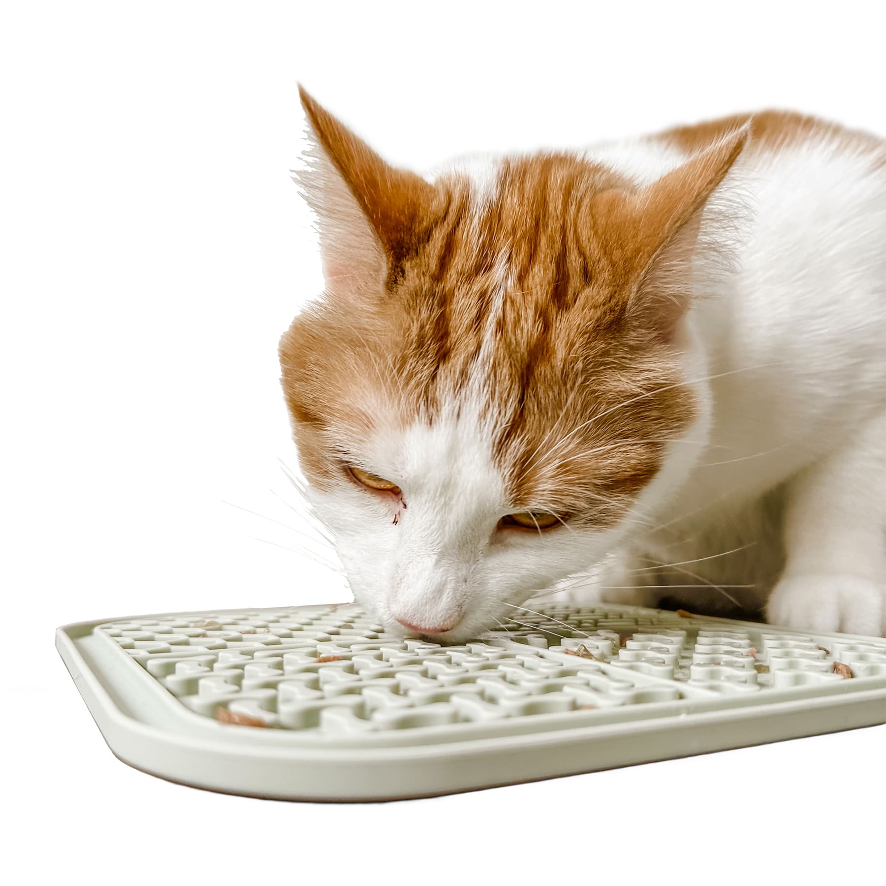 What's a Lick Mat & Does It Help Cats? Pros, Cons & FAQ - Catster