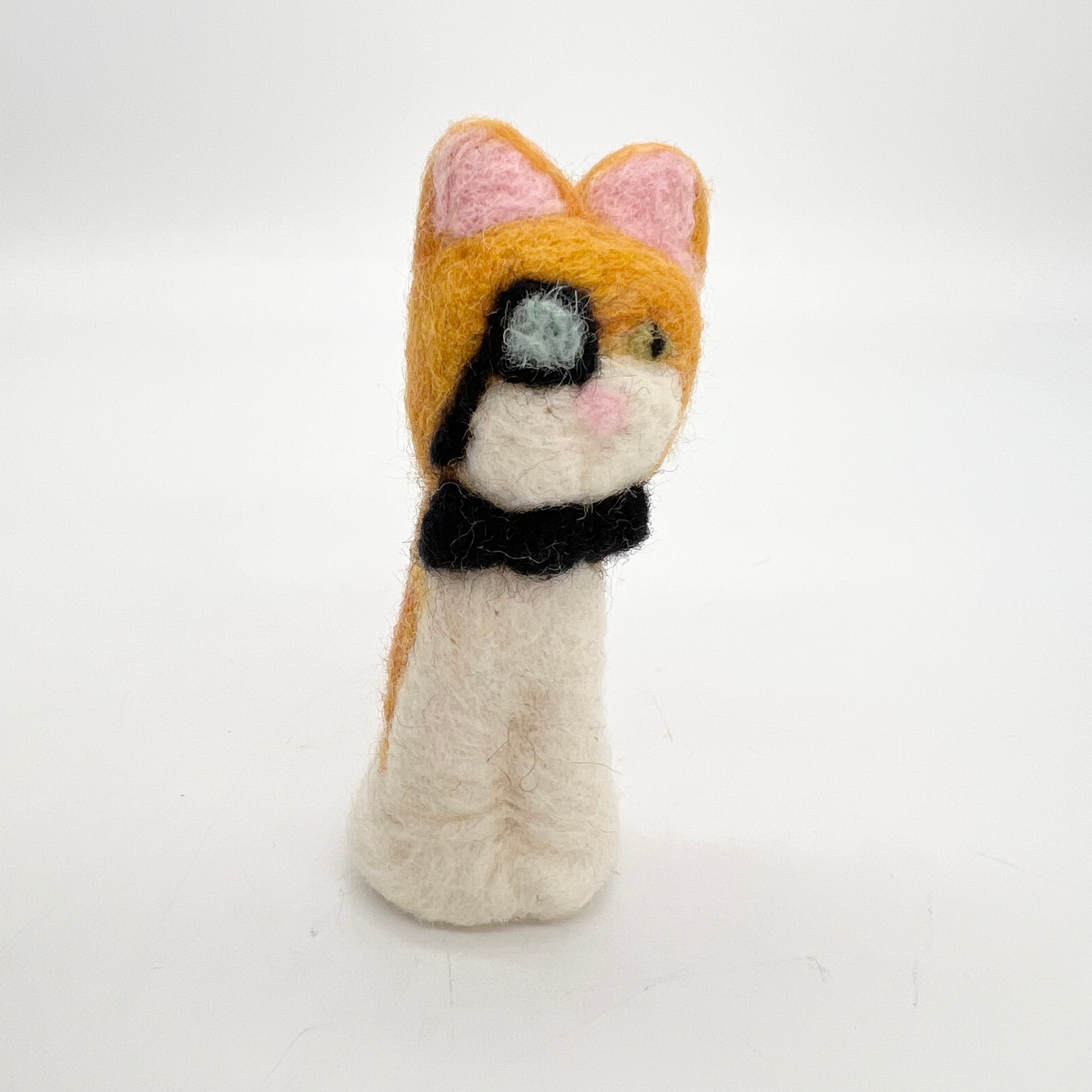 Fancy Orange Cat