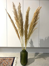 Load image into Gallery viewer, Tall Natural Fluffy Pampas Grass
