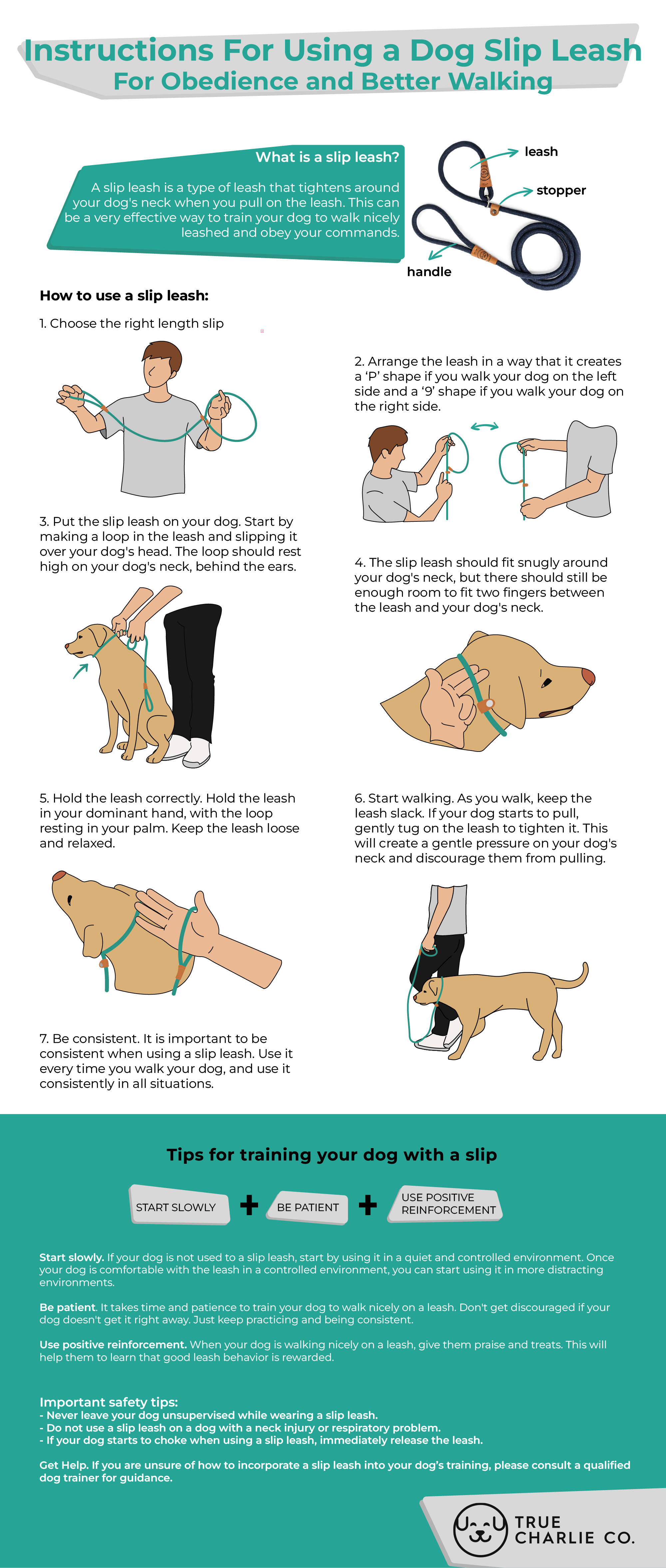True Charlie Co. Dog Slip Leash Infographic