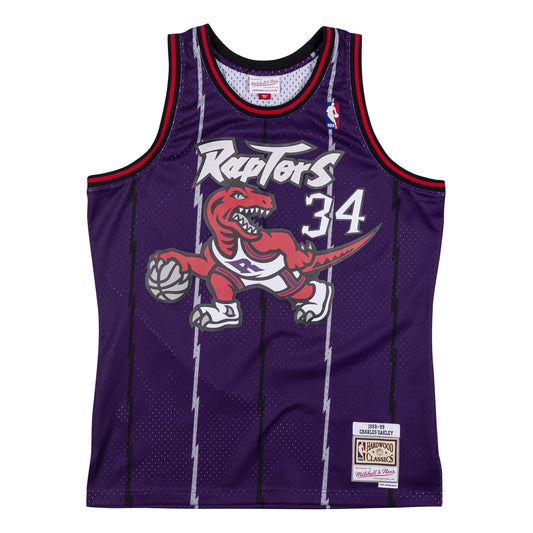Mitchell & Ness Men NBA Toronto Raptors Swingman Jersey Damon Stoudamire  Purple '95-96 SMJYXTRALDSD95