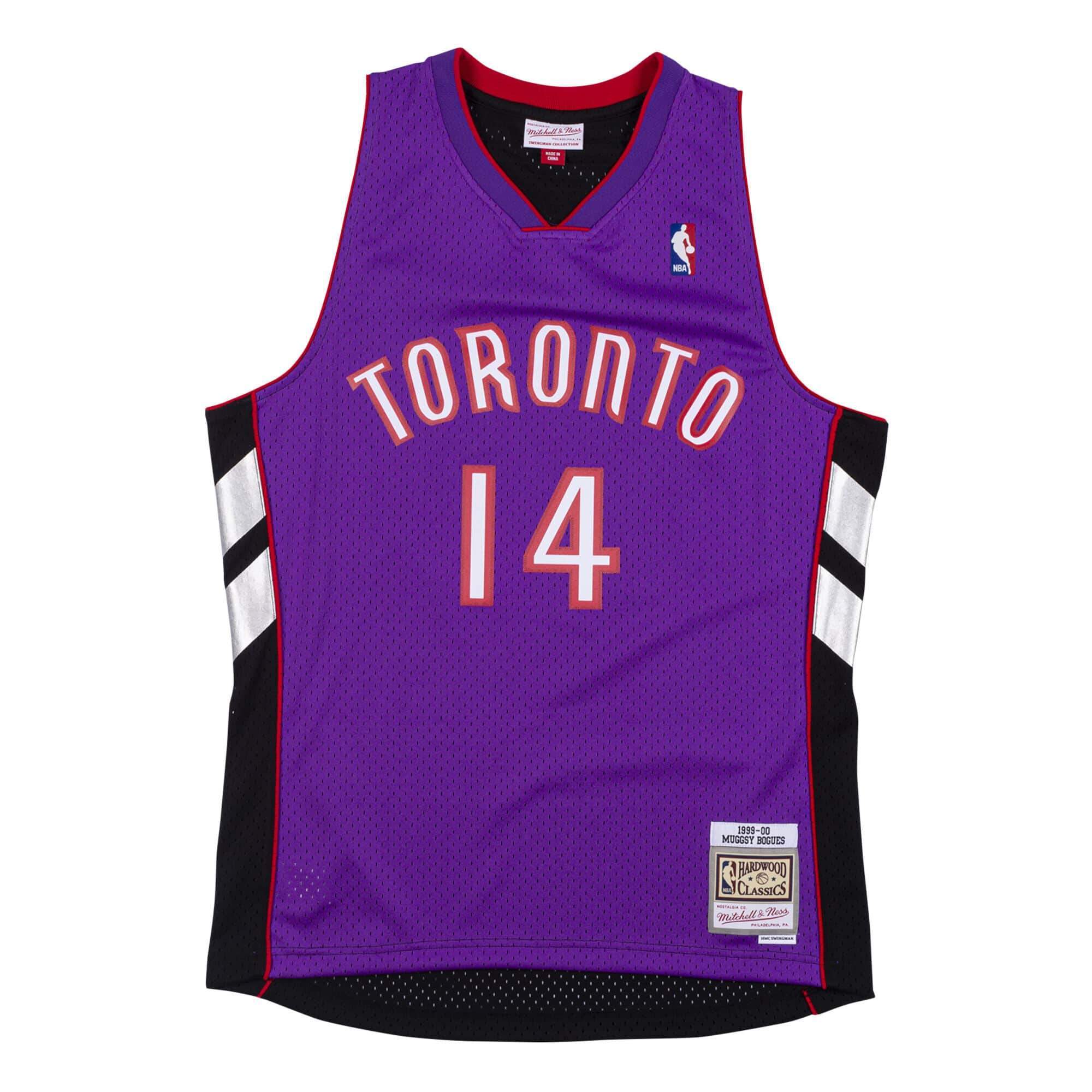 Youth Toronto Raptors Shorts  Mitchell & Ness NBA Purple