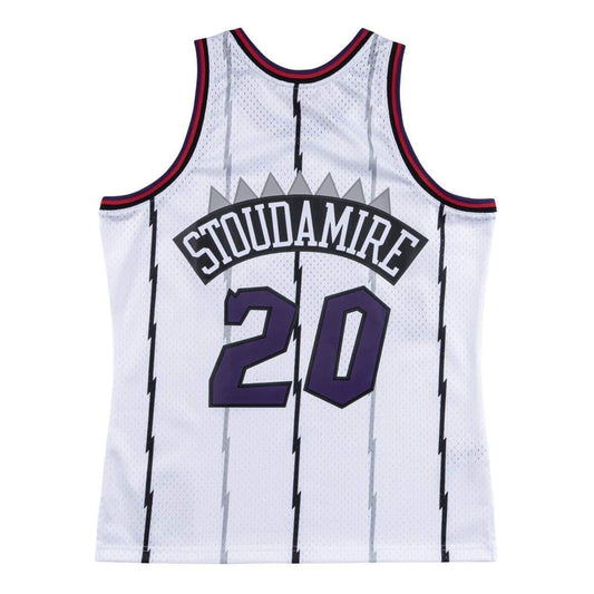 Dell Curry #30 Toronto Raptors Mitchell & Ness Hardwood Classic