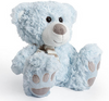 Cuddly Teddy Bear Blue