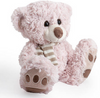 baby hamper teddy bear