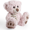 Baby Hamper cuddle teddy bear pink