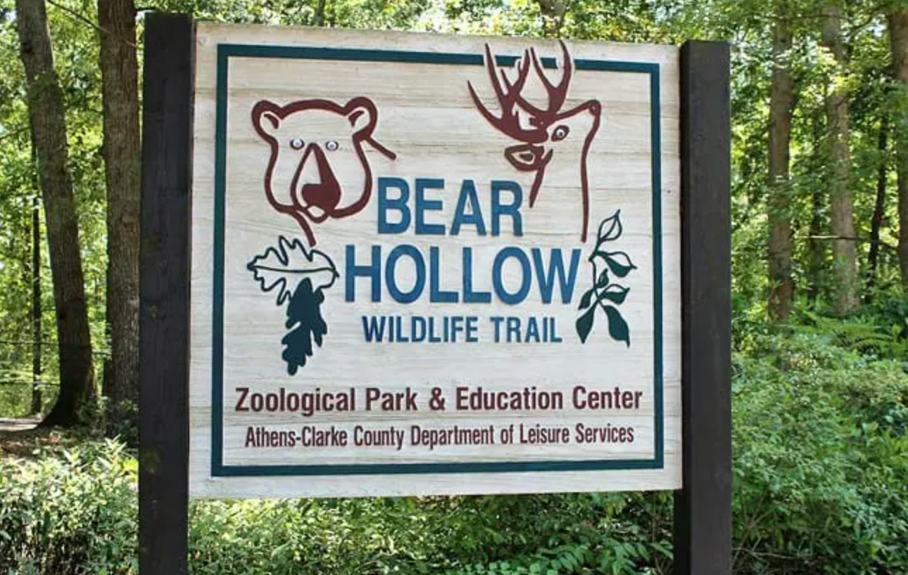 Bear Hollow - Athens, GA