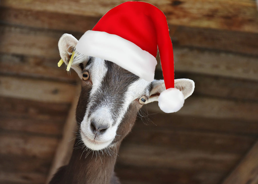 Christmas? You've goat to be kidding