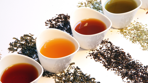 six tea families, tea varieties, loose leaf tea