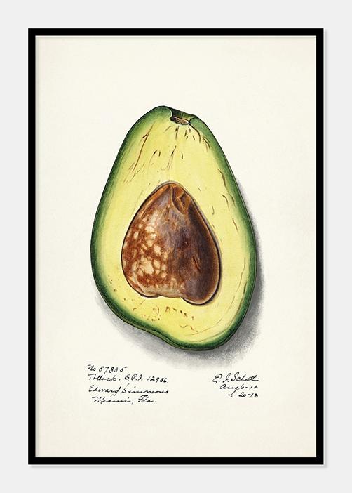 Ellen Isham Schutt Plakat med avocado 