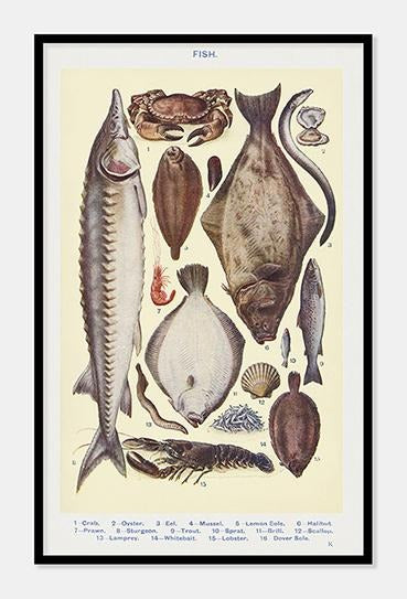 Mrs. Beeton plakat medforskellige fisk 