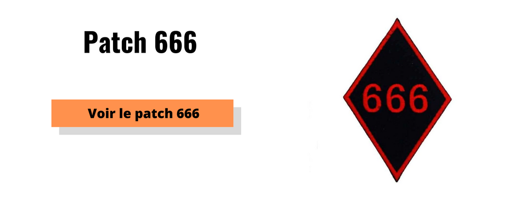 patch 666