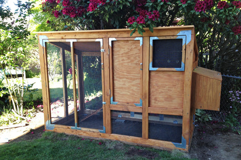 DIY predator safe chicken coop