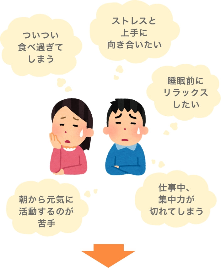 ついつい食べ過ぎてしまう ストレスと上手に向き合いたい 睡眠前にリラックスしたい 朝から元気に活動するのが苦手 仕事中、集中力が切れてしまう