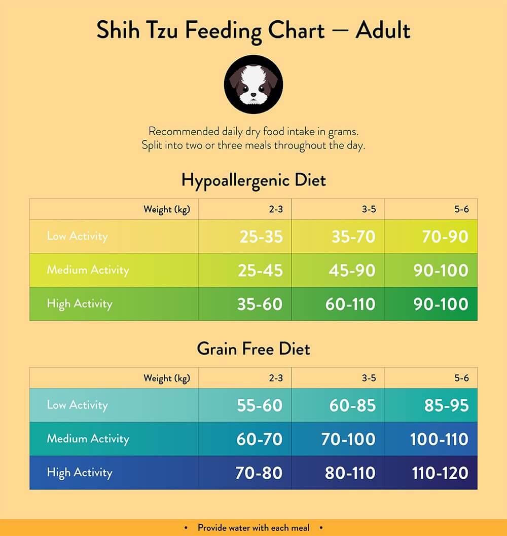 Shih Tzu Feeding Guide – Lovejoys Pet Food