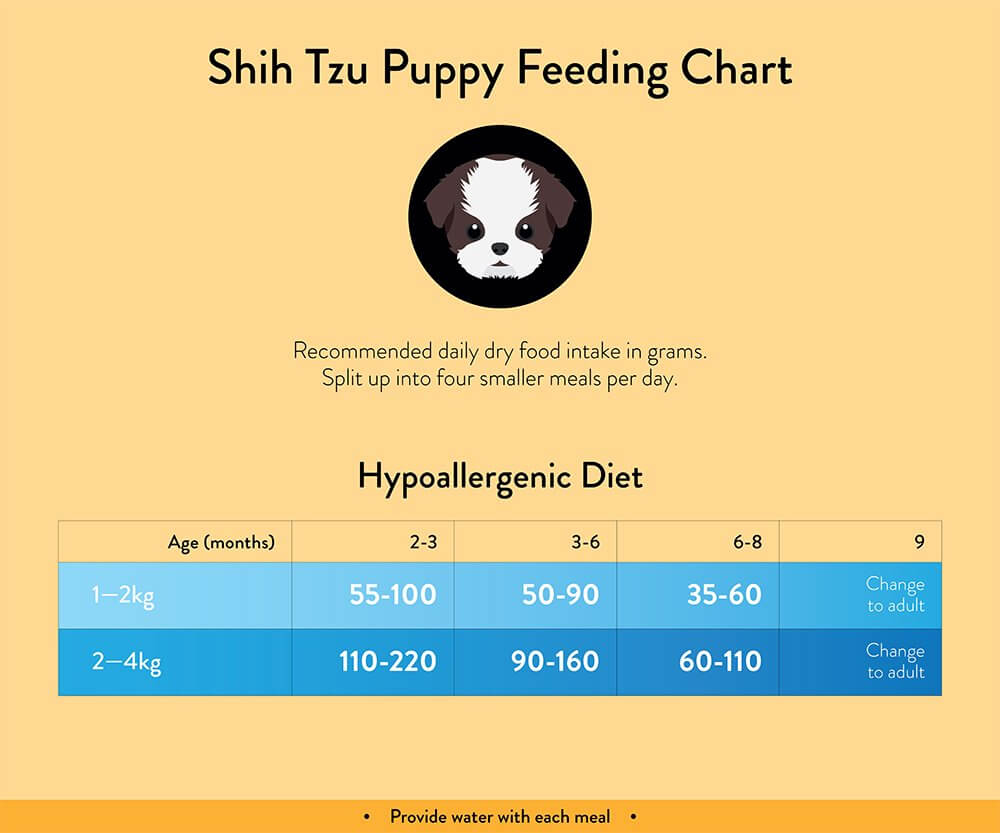 feeding shih tzu puppy