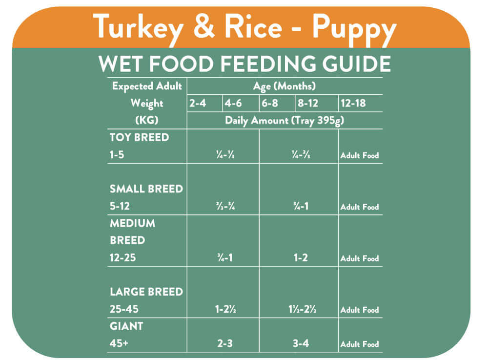 how much wet food should i feed my dog