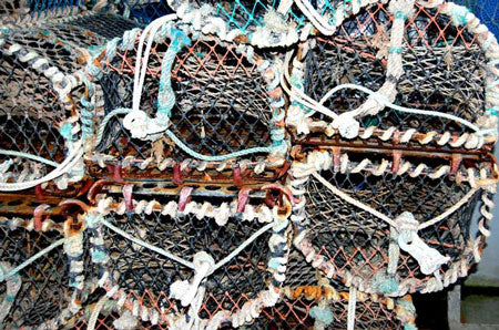 Cromer Crab Pots