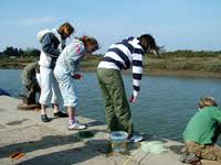 Crab Fishing North Norfolk