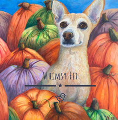 Whimsy Fit pumpkin Chihuahua dog