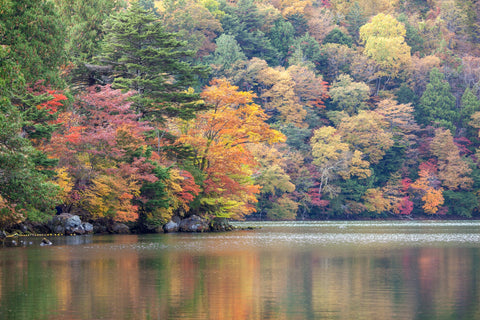 Autumn Colours Nikko