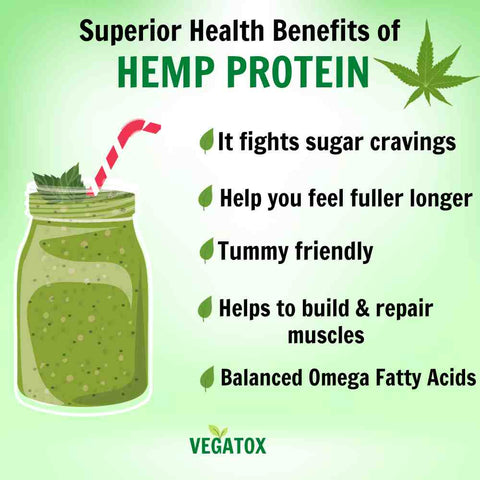 Hemp Protein Powder Benefits