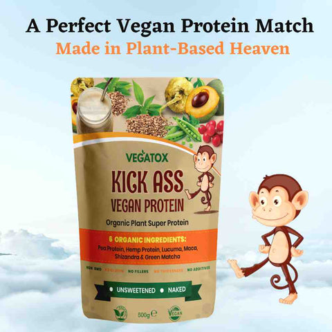 organic vegan protein powder