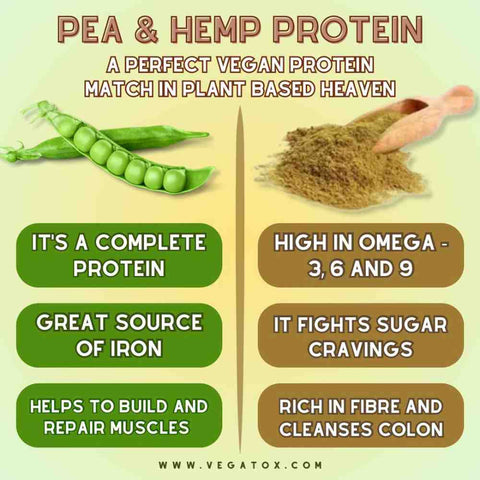 Organic vegan protein powder