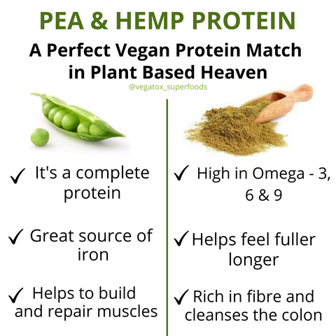 Plant Based Protein Powder