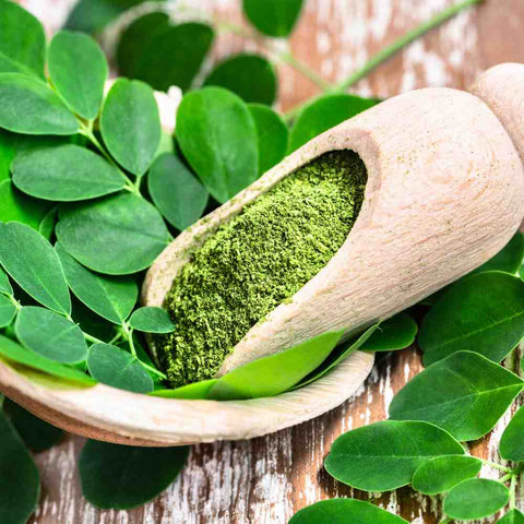 Moringa Benefits