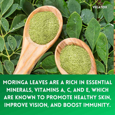 moringa benefits