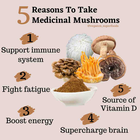 Mushroom Powder Benefits