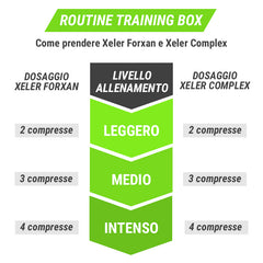 Routine Xeler Training