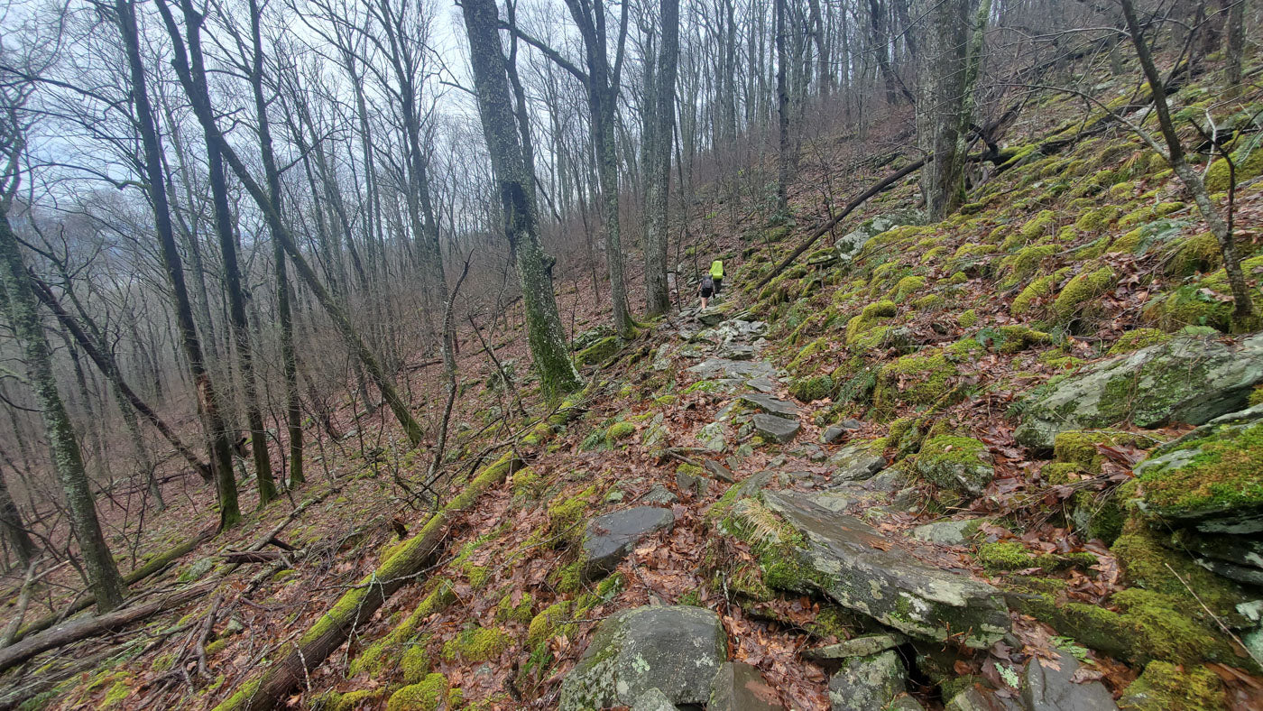 A view of the terrain of the trail while hiking on the Appalachian Trail