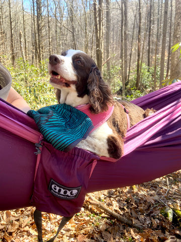 A dog smiles off into the distance while hanging in an ENO hammock