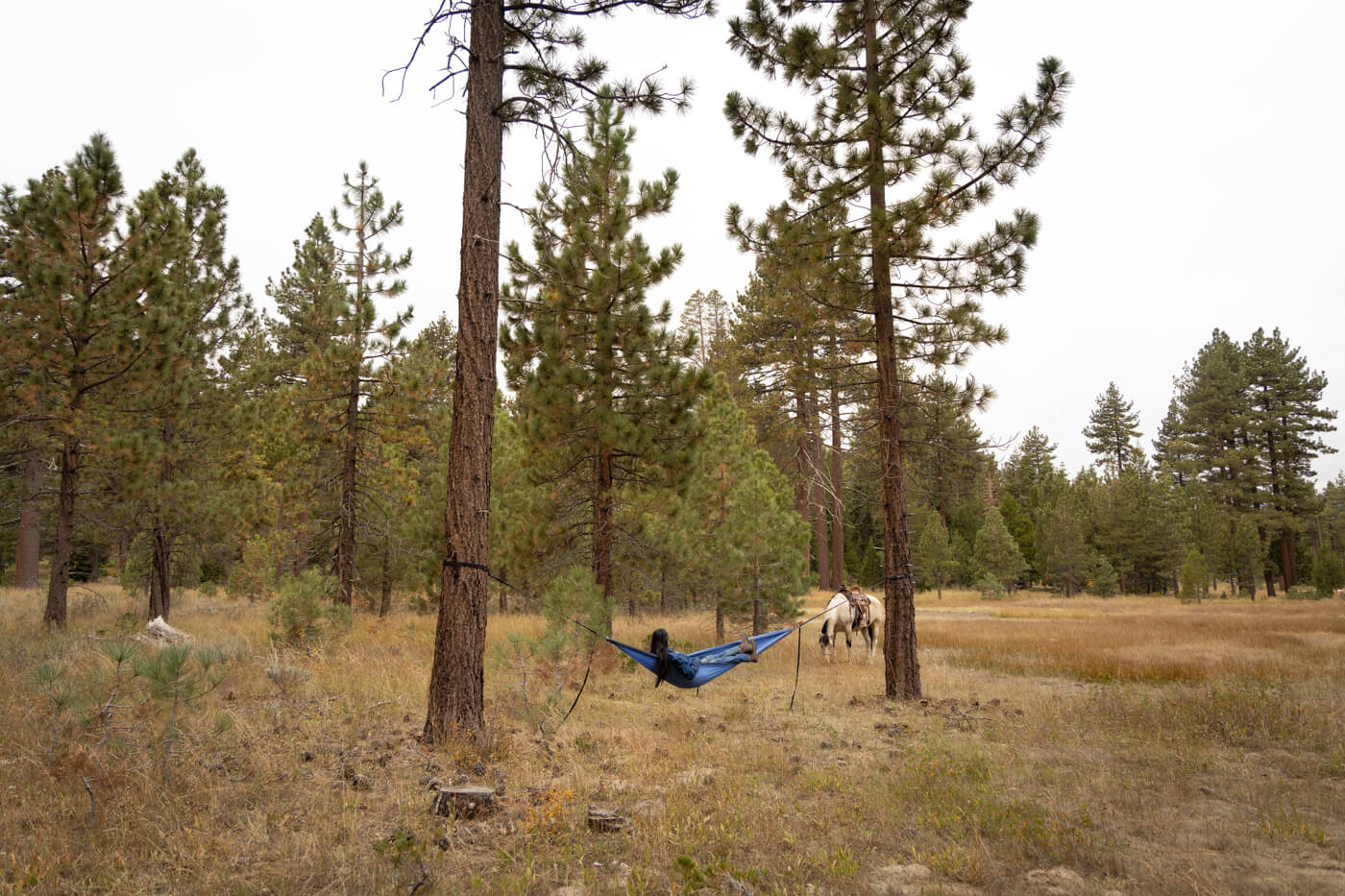 A woman lays in her ENO DoubleNest hammock between two trees while her horse grazes in the distance