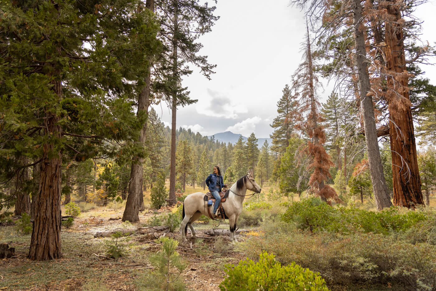 A woman sits on her horse surrounded by beautiful wilderness and distant mountains