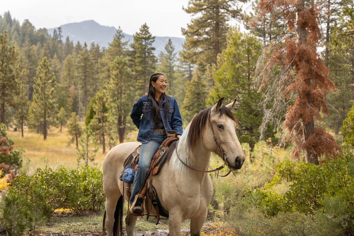 A woman rides her horse through beautiful wilderness with an ENO hammock and straps clipped to her saddle.