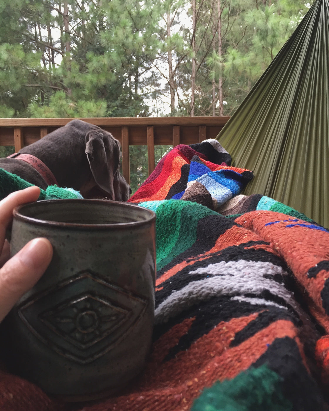 A person and a dog lay in a hammock together with a cup of coffee and a blanket. 