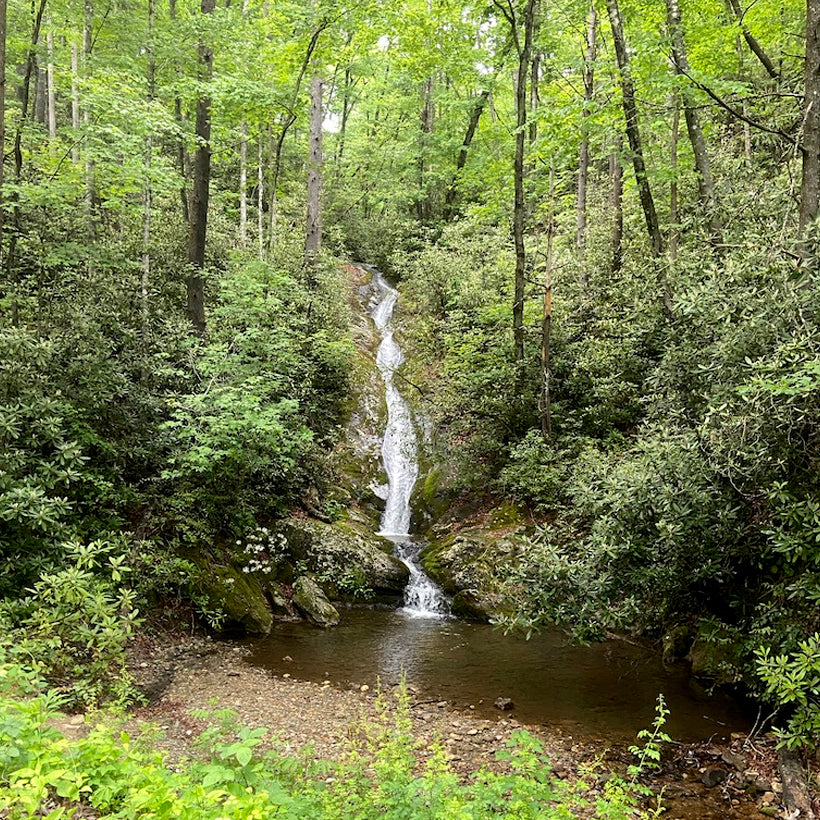 A view of a waterfall in the lush, green wilderness