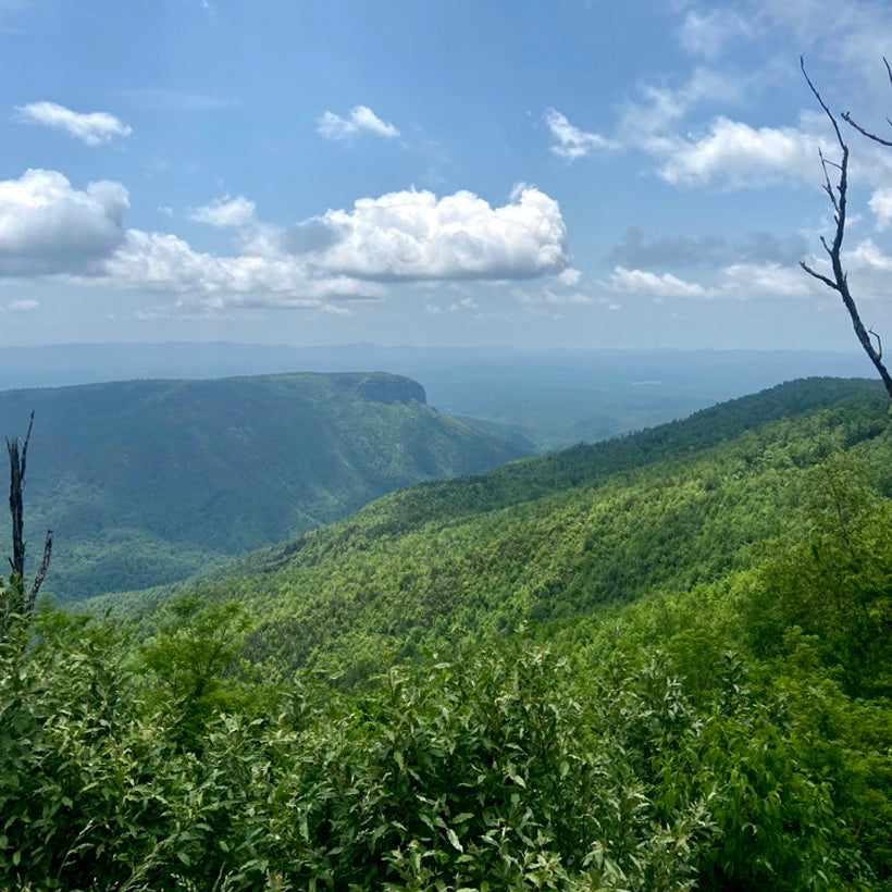 A view of the Blue Ridge Mountains.