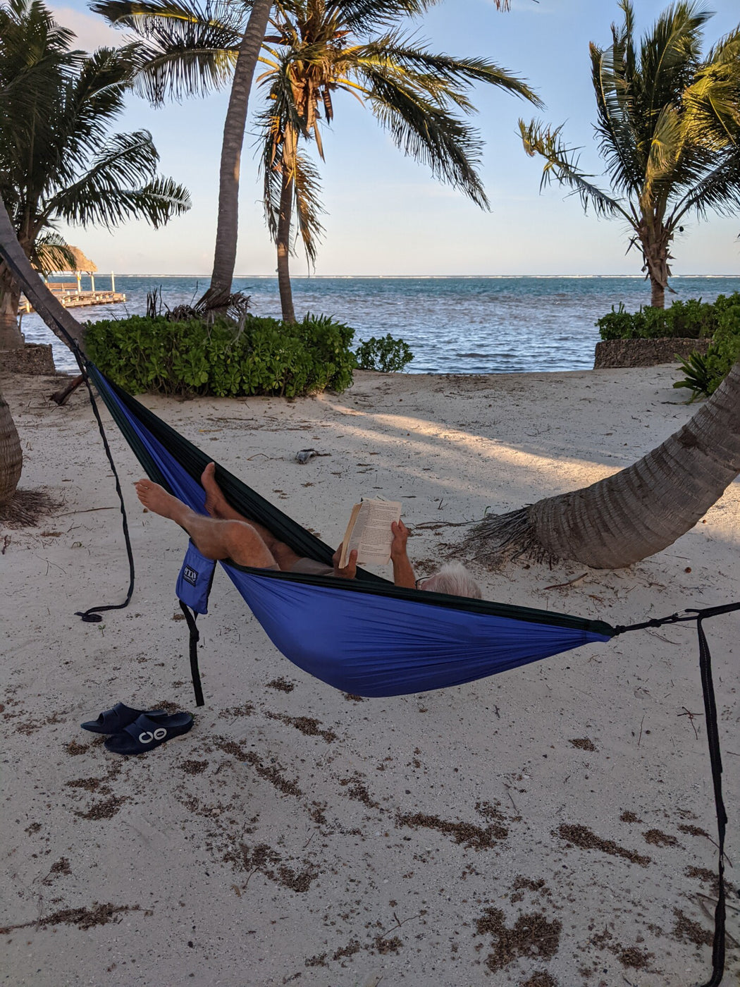 A man lays in a hammock reading between two palm trees, enjoying retirement. 