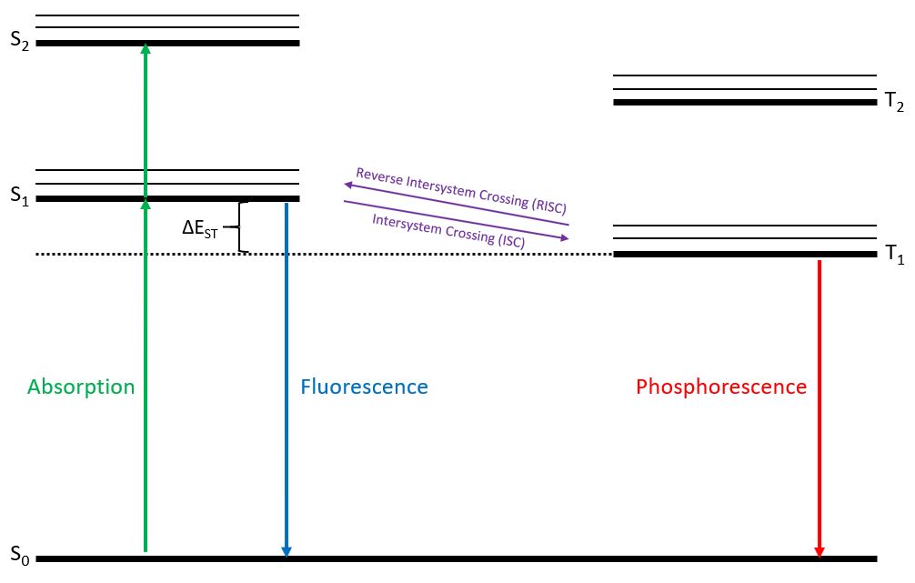 fluorescence and phosphorescence difference