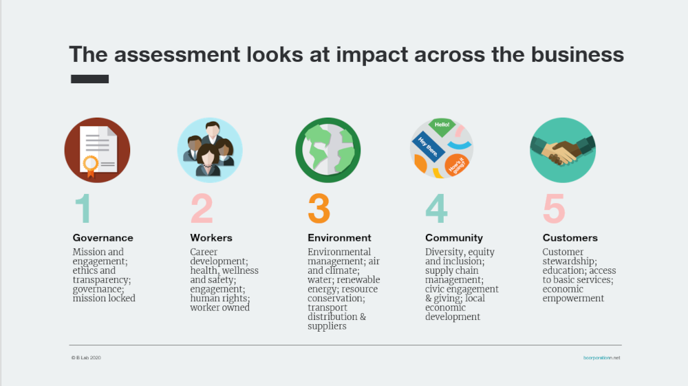 diva b corp assessment