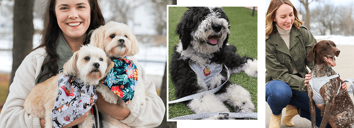 Cross Body Straps · The Exceptional Dog Shop