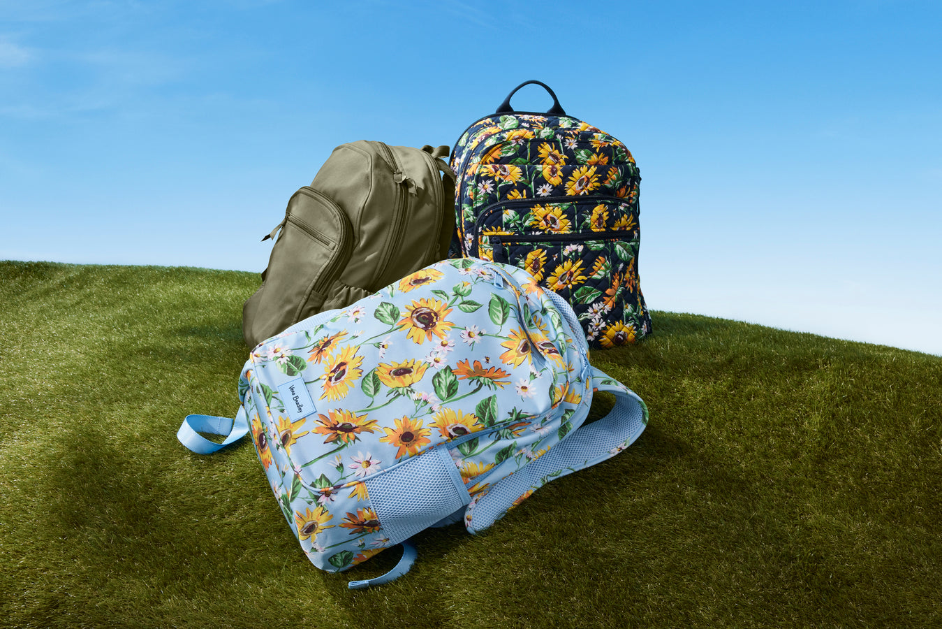 picture of backpacks 